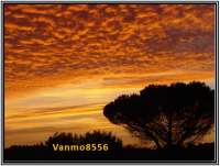 Boutique de Vanmo8556