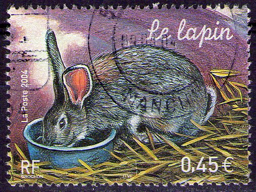 France - Y&T 3662 - Le lapin