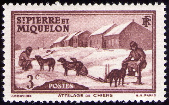 Saint-Pierre et Miquelon - Y&T 168 ** - Attelage