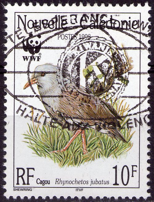 Nouvelle-Calédonie - Y&T 769 - Oiseau - Le cagou (rhyhochetos jubatus)