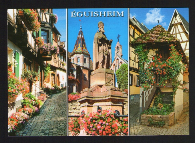 Carte Postale Postcard Postal Au Pays des Cigognes EGUISHEIM FRANCE