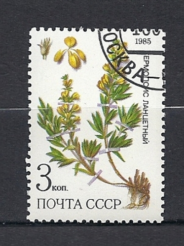 Y T 5233-35  plantes medicinales