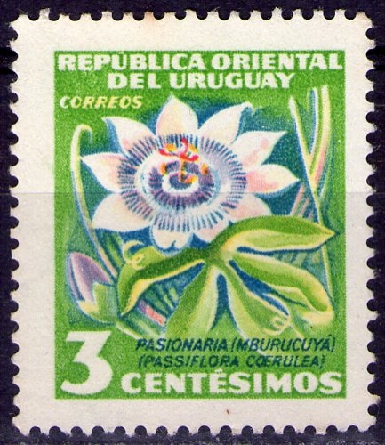 Uruguay - Y&T 626 - Passiflore - Série courante