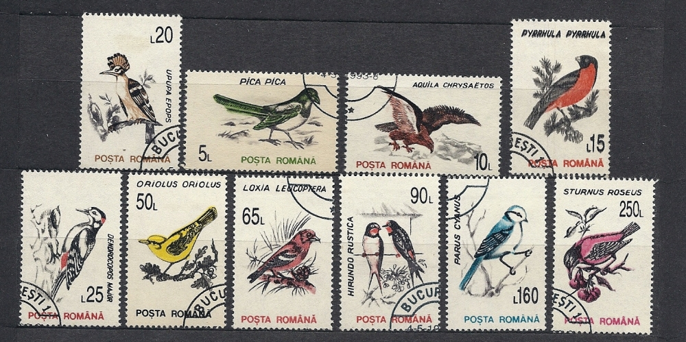 Y T   4065-74    Oiseaux