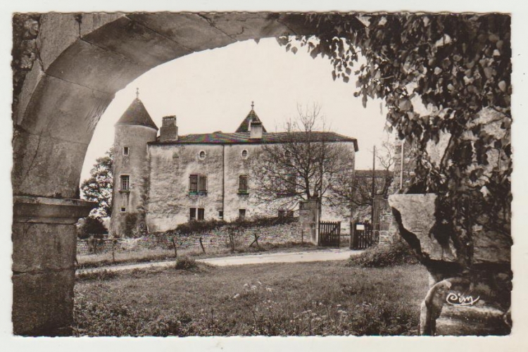 cpsm  01 Jujurieux Château de Chenavel