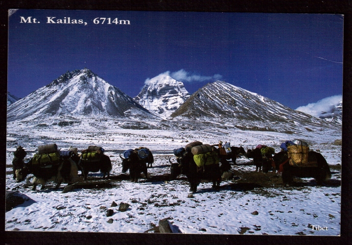 Népal Cpm  Mt. Kailas, 6714m North Face  - yacks