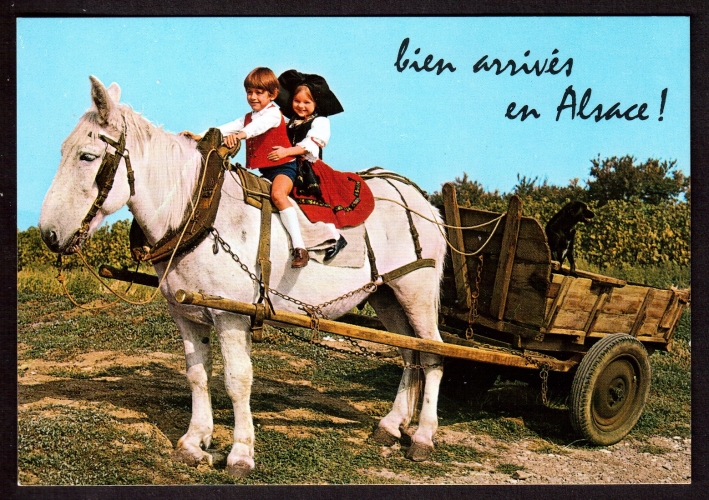 France Carte Postale Cpm Bien Arrivés en Alsace non circulé