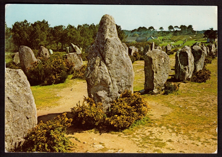 France Cpsm Carnac ( Morbihan ) Menhirs de Kermario 