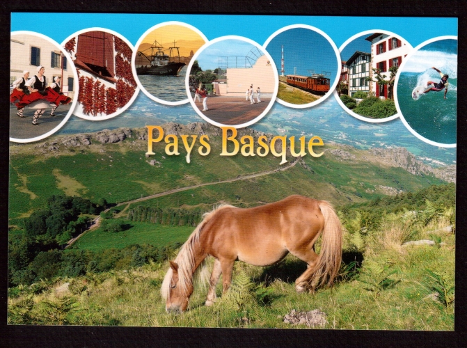  France Cpm   Pays Basque -  multivues - chevaux -  Le pottok 