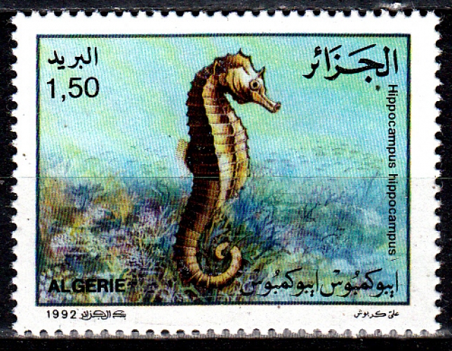 Algérie 1029 ( Hors série ) Faune marine / Hippocampe