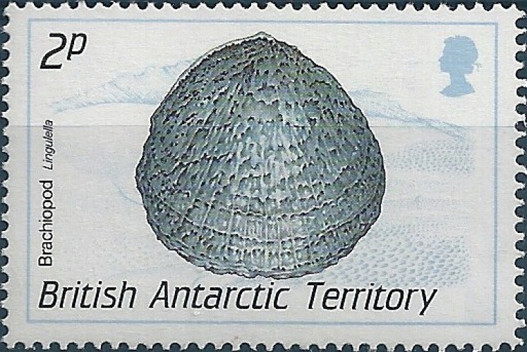 Territoire Antarctique Britannique - 1990 - Y&T 177** - MNH - Luxe