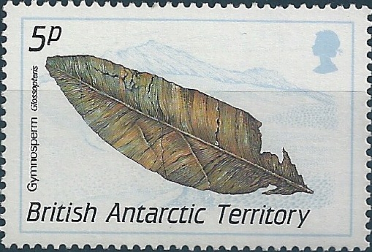 Territoire Antarctique Britannique - 1990 - Y&T 180** - MNH - Luxe