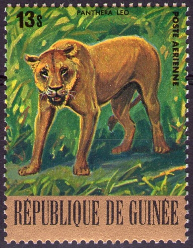 Guinée - Y&T PA 132 - Faune à protéger : Panthera leo