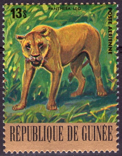 Guinée - Y&T PA 132 - Faune à protéger : Panthera leo