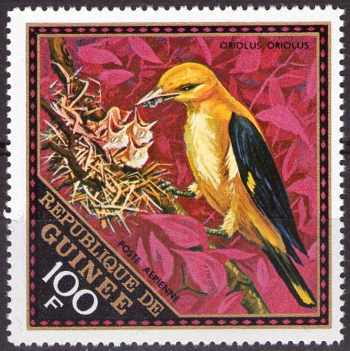 Guinée - Y&T PA 98 - Oiseaux divers : Oriolus