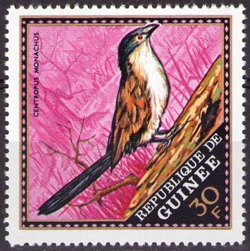 Guinée - Y&T 442 - Oiseaux : Centropus monachus