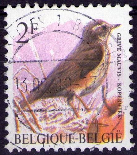 Belgique - Y&T 2646 - Grive mauvis - Oiseaux - Série courante