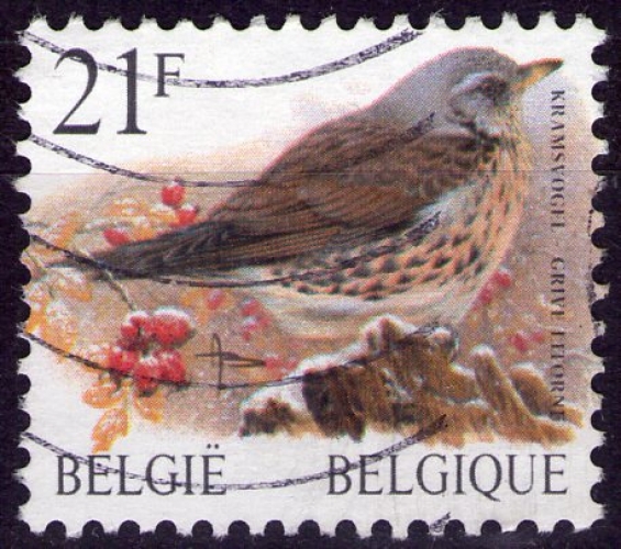 Belgique - Y&T 2792 - Grive litorne - Oiseaux - Série courante