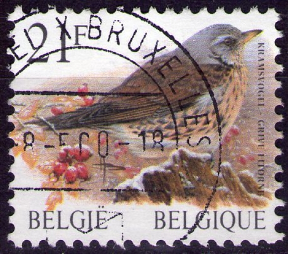 Belgique - Y&T 2792 - Grive litorne - Oiseaux - Série courante