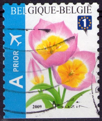 Belgique - Y&T 3853 - Tulipes - Fleurs