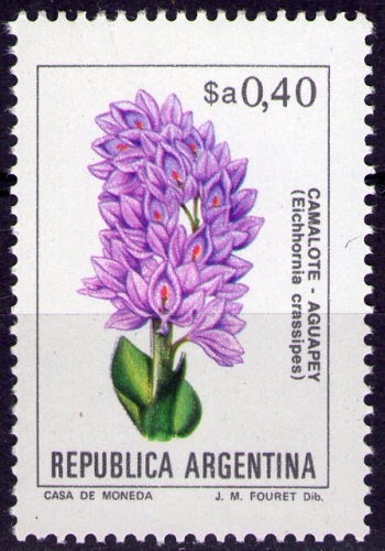 Argentine - Y&T 1388 - Eichhornia crassipes - Série courante : Fleurs