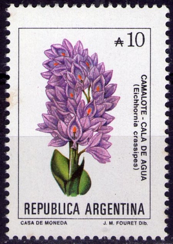 Argentine - Y&T 1687 - Eichhornia crassipes - Série courante : Fleurs