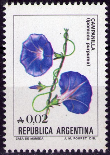 Argentine - Y&T 1472 - Ipomoea purpurea - Série courante : Fleurs