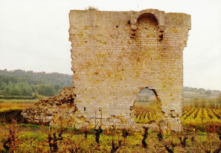 France 11 Armissan 1988 - CPM neuve La Muraille Saint-Pierre