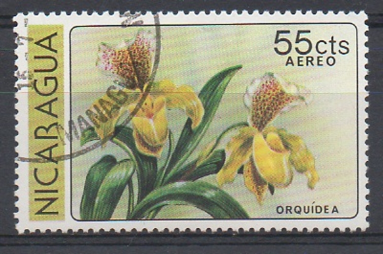 NICARAGUA 1979  - FLEURS : ORCHIDÉE