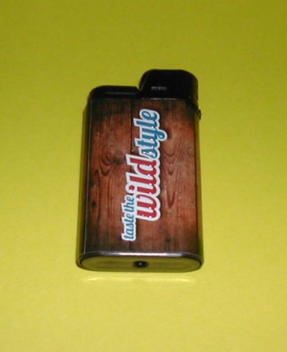 Briquet Lighter AUSTIN rechargeable Taste the Wild Style