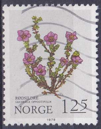 NORVEGE 1979 oblitéré N° 757 fleurs