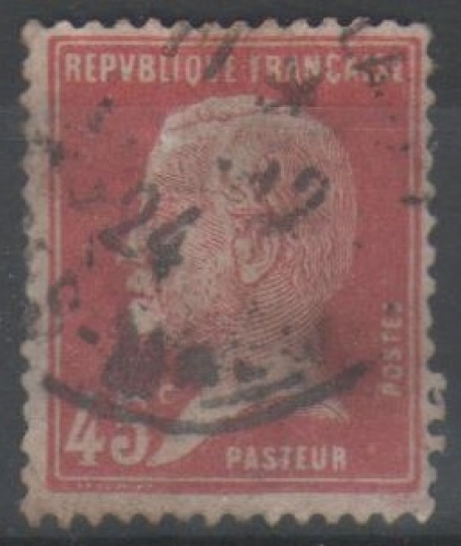 France 1924 - Pasteur 45 c.