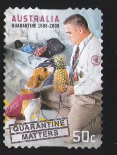 Australie 2008 Oblitération ronde Used Stamp Quarantine Quarantaine