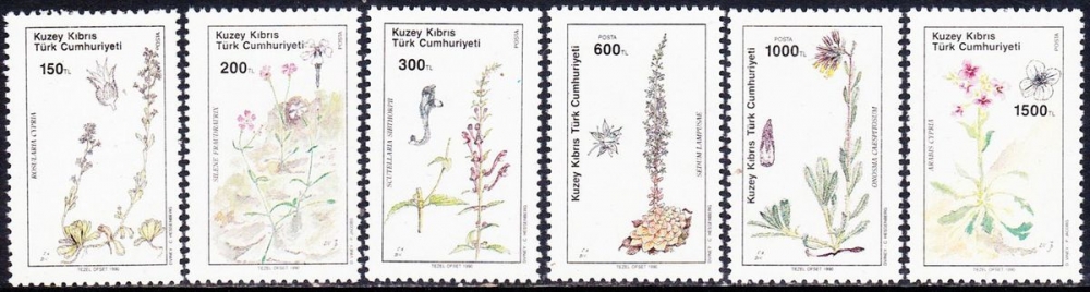 Chypre (Turquie) 1990 Plantes spécifiques