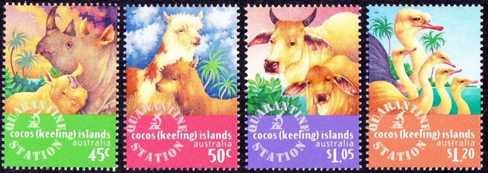 Cocos (Keeling) 1996 Station de quarantaine : rhinocéros, alpaga, bovidés, autruche