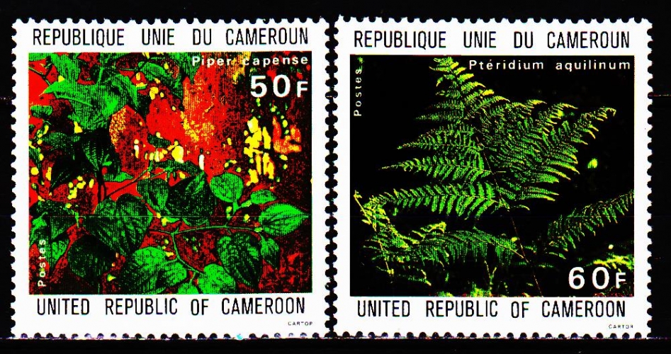  Cameroun 645 / 46 Plantes médicinales