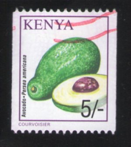 Kenya Oblitéré Used Avocado Persea Americana Légumes Avocat