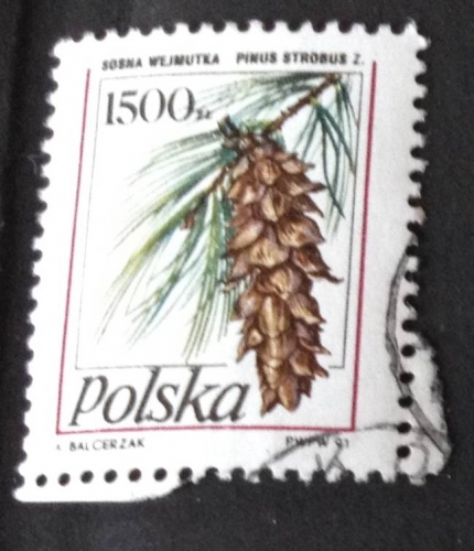 Pologne 1991 YT 3118