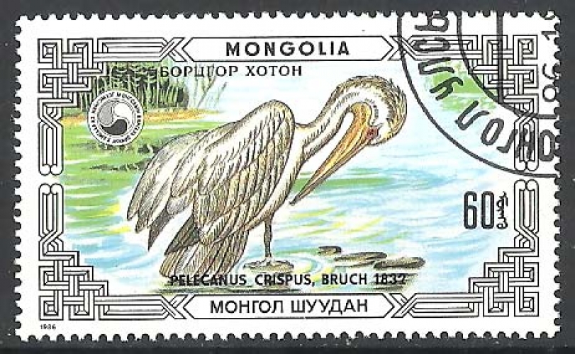 Mongolie - n° 1484 obl - Pélican - année 1986