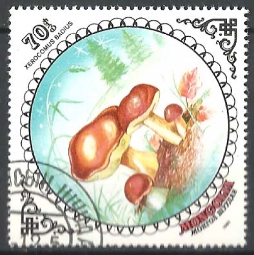 Mongolie - n° 1397 obl - champignons - année 1985