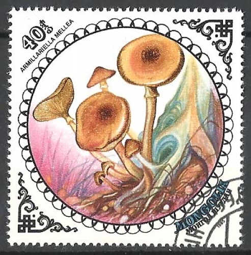 Mongolie - n° 1395 obl - champignons - année 1985