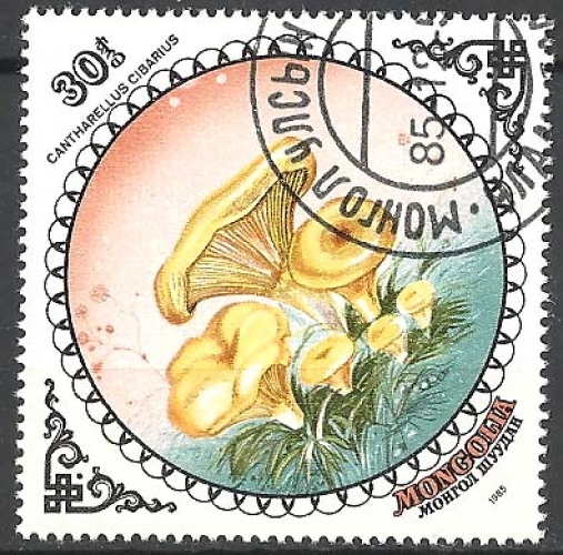 Mongolie - n° 1394 obl - champignons - année 1985