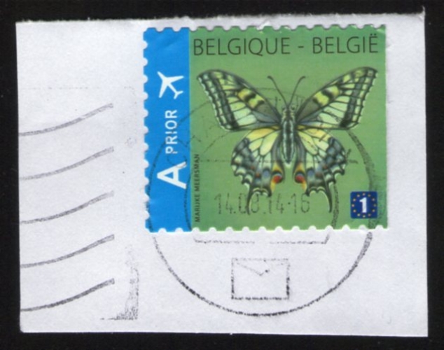 BELGIQUE Oblitéré rond Used Stamp Papillon Butterfly sur fragment