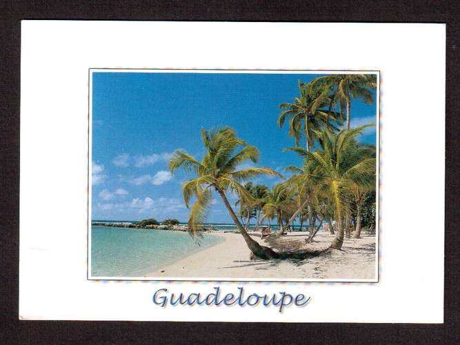 France Cpm Guadeloupe plage de Sainte Anne