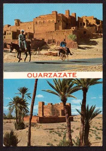 Maroc Cpm Ouarzazate La Kasbah dans la palmeraie - ânes