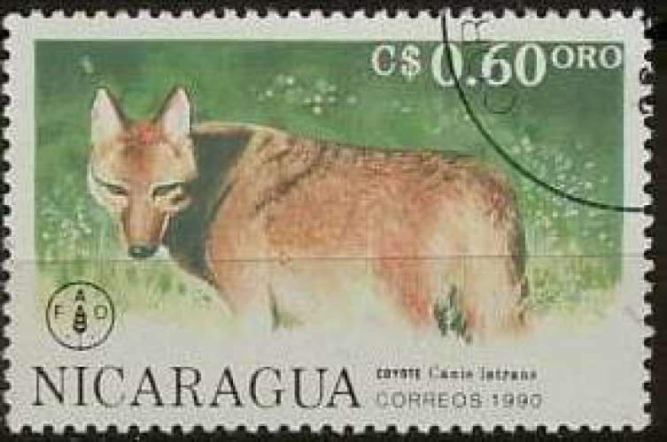 3138 - Y&T n° 1556 - oblitéré - Coyote - 1990 - Nicaragua