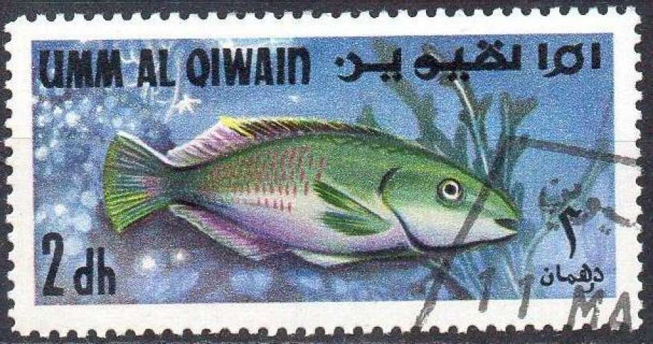 3451 - Y&T n° ??? - oblitéré - Poisson - 19?? - Um al Qiwain