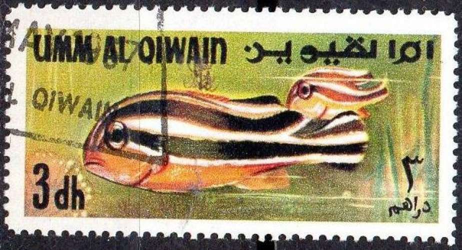 3456 - Y&T n° ??? - oblitéré - Poisson - 19?? - Um al Qiwain