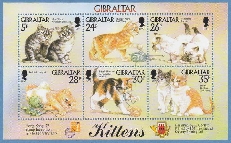 GIBRALTAR 792 à 797 ** FEUILLET CHATS KITTENS 1997 TB