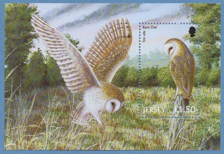 JERSEY Bloc N° 37 ** MNH CHOUETTE BARN OWL TB